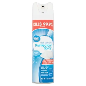Eco Friendly Green Sterilizing Mite Control Spray 250g 5%-15% Active Ingredient Cloth Natural Mite Killer Cockroaches Flies