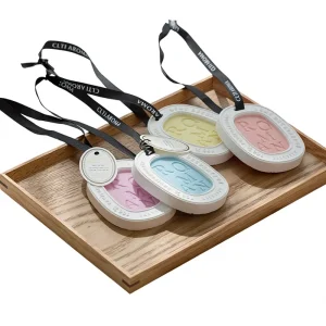 Elegant Aromatherapy Gift Set Ceramic Wax Hanging Car & Wardrobe Scent Pods With Fresh Scents
