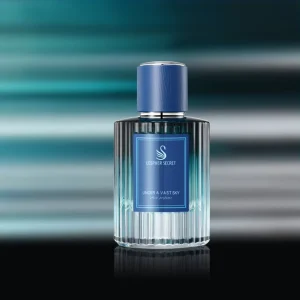 Elegant Fragrance for Men’s Woody Scent Luxury Modern Perfume Spray 100ml Long Lasting Gift Box