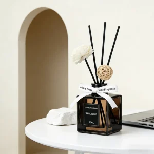 Empty 50ml Square Transparent Glass Aromatherapy Reed Diffuser Bottle with Stopper