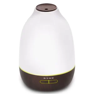 Essential Oil Aroma Diffuser with Aroma Flowers for Home