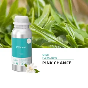 Essential Oils Eco Friendly Branded Fragrance Oil Diffuser Home Use Sample Pure Concentrated Bulk Original Bottle Packed