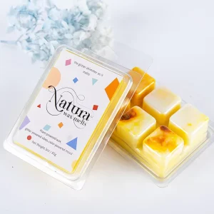 Exclusive High Quality Plant Based Wax Aroma Melts Scented Wax Cubes Luxury Flameless Fragrance Pieces Home Holiday Christmas