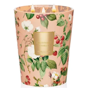 Extra Large 3 Wick 35 ounce Long Lasting Strawberry and Vanilla Natural Soy Wax Scented Candle Luxury Home Fragrance Candle