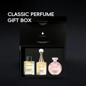 Factory Customized Woman Body Mist Luxury Perfumes Cologne Long Lasting Fragrance Private Label Perfume Gift Sets for Women