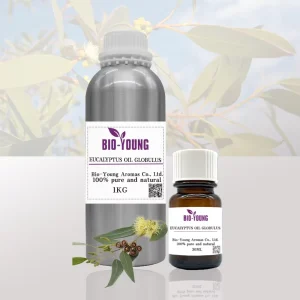 Factory Direct Bulk Pure Eucalyptus Essential Oil for Diffusers Aromatherapy