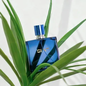 Factory Oem Unisex Spray Perfume Custom Luxury Oem Private Label 100ml Women Perfume Long Lasting Fragrance