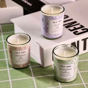 Factory Supply DIY Gift Indoor Eco Friendly Scented Candle Wax Plant DIY Gift Smokeless Fragrance Soy Wax Art Candle