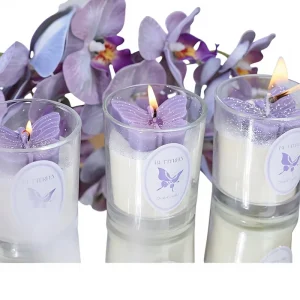 Fantasy Butterfly Cup Shape Handmade Mixed Wax Aromatherapy Candle with No Scents for Girlfriend Gift