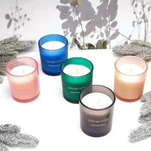 Fragrance Soy Candle Home Use Scented Candle Private Label Glass Candle Jar OEM ODM Manufacturer Custom Logo Supplier