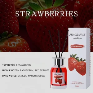 Glass Bottle Reed Diffuser with Fruity Scent