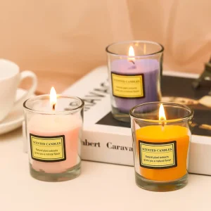 Glass Plant Wax Art Candles Handmade Environment Friendly Romantic Customized Scent Valentine’s Day Smokeless Scented Home Gift