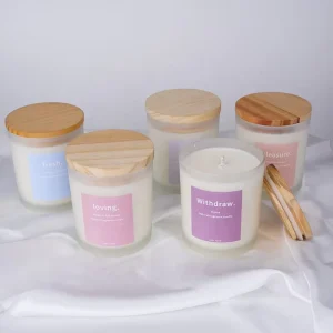 Glass Scented Candle Custom Logo Soy Wax Candle for Home Decor Aromatherapy Candle Gift Set