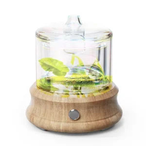 Glass Water Tank Modern Aroma Diffuser