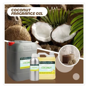 HL Strong Fruity Fragrance Oils Producer BULK High Concentrated Coconut Fragrance Oil for Scented Candle Making Sample Free
