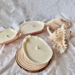 Handcraft Gift OEM Natural Sea Shell Shape Soy Wax Scented Candle