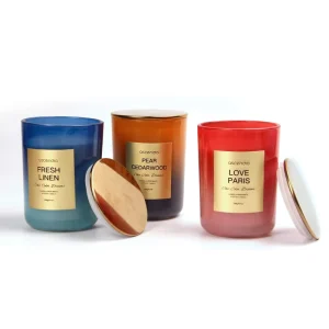 Handmade Flameless Soy Wax Aromatherapy Candle for Home Fragrance