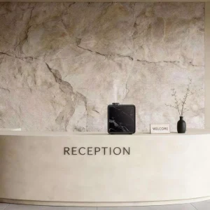 High End Luxury Commercial Aroma Diffuser for Hotel Lobby Waterless Large Area Scent Diffuser Machine AH333