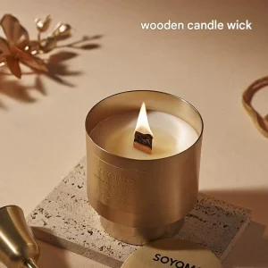High Quality Handmade Modern Metallic Sense Scented Soy Wax Candles for Holiday Thanksgiving Christmas Easter Use