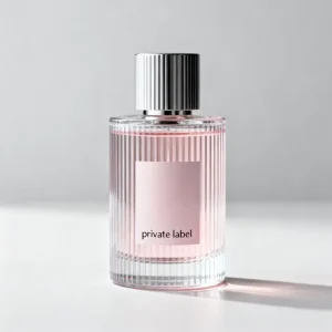 High Quality Private Label Perfume OEM Custom Fragrance Long Lasting 100ml Spray Fresh Scent Eau De Parfum