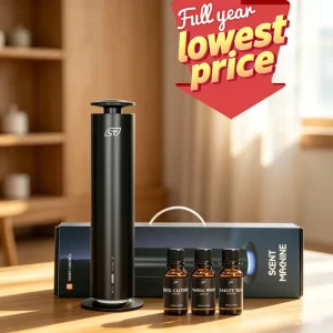 Holiday Gift Cost effective Smart Wireless Difusor De Aroma Oil Defuser Hotel Scent Diffuser Machine For Home