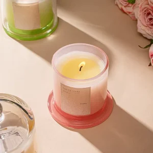 Home Aromatherapy Cloche Shaped Candle Vessels for Weddings and Birthdays Soy Wax for Decorative Use