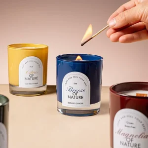 Home Decoration Luxury Scented Candles Gift Set Christmas Mother’S Day Scented Soy Wax Candle With Glass Jar and Gift Box