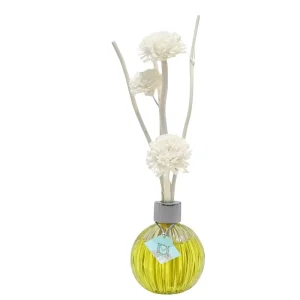 Home Decoration Reed Diffuser With Refill Reed Diffuser Bottles Room Perfume Diffuser