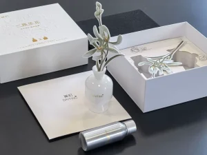 Home Fragrance 100ml Oil Diffuser Liquid Glass Bottle Reed Diffuser Aromatherapy Gift Set