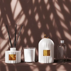 Home Fragrance Candle Gift Set with Customizing Scent Fragrance Aroma Perfume Ceramic Candle