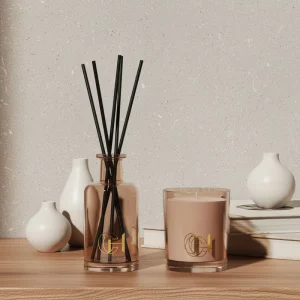 Home Fragrance Reed Diffuser Glass Bottle with Wood Resin Cap Non-Fire Aromatherapy Candle Gift Box Custom Print Logo