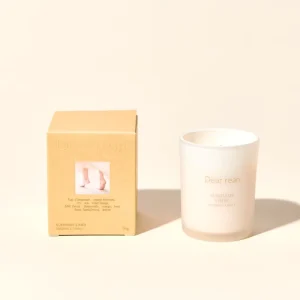 Home Fragrance Soy Wax Reed Diffuser Candle Handmade Luxury Aromatherapy RU Air Cement Jar 40 60 Hours Burn Time for Christmas