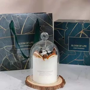 Home Interior Decoration Romantic Glass Cover Dry Flowers Scented Candles Scented Candle for Friends Birthday Gift