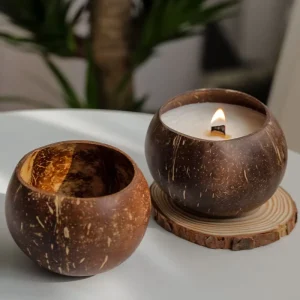 Hot Selling Natural Decoration Wood Wick Coconut Flavor Candles in Coconut Shell