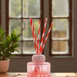 Innovation Vodka Display Head Smelling Oil New Arrival Lovely Tiny Moon Aromatherapy Flat Reed Diffuser Empty Bottle Aroma Stone