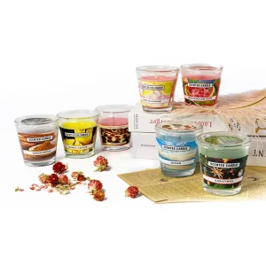 LT01T Promotion Mini Size Scented Candles Various Aromatherapy Fragrance Fashion Candle Craft
