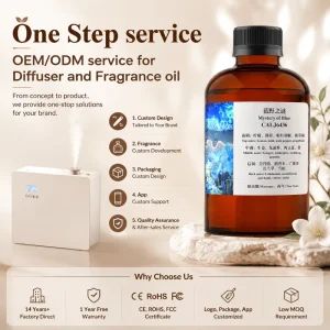 Large Space Commercial HVAC Electric Air Aroma Diffuser with Essential Oil for Hotel and Commercial Use