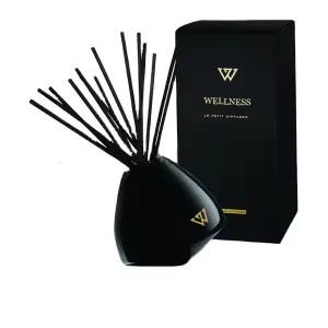 Lavender Fragrance Reed Diffuser Air Freshener for Home and Car