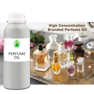 Long Lasting Concentrated Perfume Oils Flavorist Perfume Oil Fragrance Hotel Aroma Diffuser Scents Oil