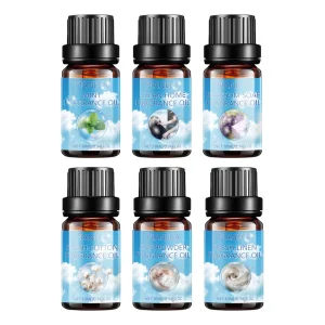 Long Lasting Popular Luxury Concentrated Perfume Fragrance Oil Perfume Oil Essential Oil