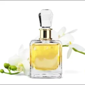 Long Lasting Popular Luxury Concentrated Perfume Fragrance Oil for Perfume