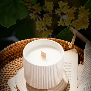 Luxury Aromatherapy Soy Wax Scented Candles with White Ceramic Jar Handmade for Christmas Home Decoration