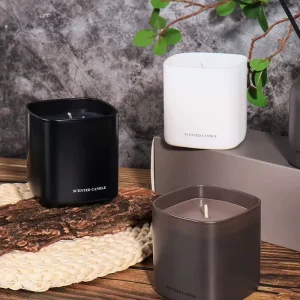 Luxury Companion Gift Custom Private Label Aromatherapy Home Fragrance Candles Soy Wax Scented Candles