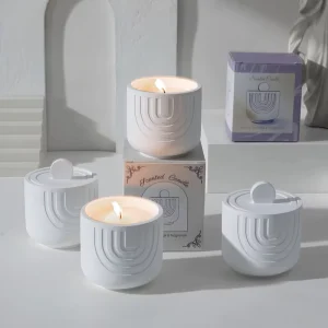 Luxury Eco Soy Wax Customized Candle Gift Set Creative Plaster Cup Design Perfect Hostess Gift Birthday Present Home Fragrance