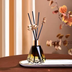 Luxury Essential Oil Veyes Set Aromatherapy Diffuser for Home Office or Hotel