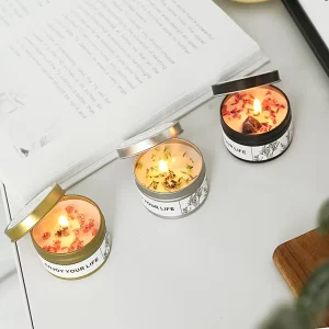 Luxury Handmade Plant Wax Christmas Scented Candle Dried Flowers Crystal Silver Tin Aromatherapy Candle Blue Wind Bell Sage Sea