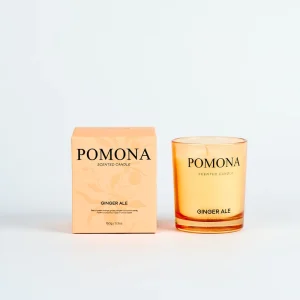 Luxury Handmade Scented Candles Soy Wax Aroma Candle for Thanksgiving Christmas & Easter Long lasting Premium Glass Jar