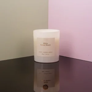 Luxury Small Organic Soy Wax Aromatherapy Scented Art Candles Glass Jars Eco Friendly Modern Christmas Wedding Holiday Favors