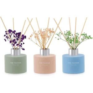 Macaron Color Matte Round Reed Diffuser with Silver Cap, Natural Dried Gypsophila Rattan Sticks