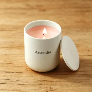 Matte Ceramic Candle Nordic Scented Candle Soy Wax Candle Home Decor Candle Cute Aromatherapy Candle